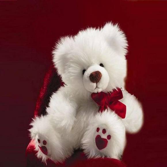 Meet your Posher, Janet - Picture 1 of 1